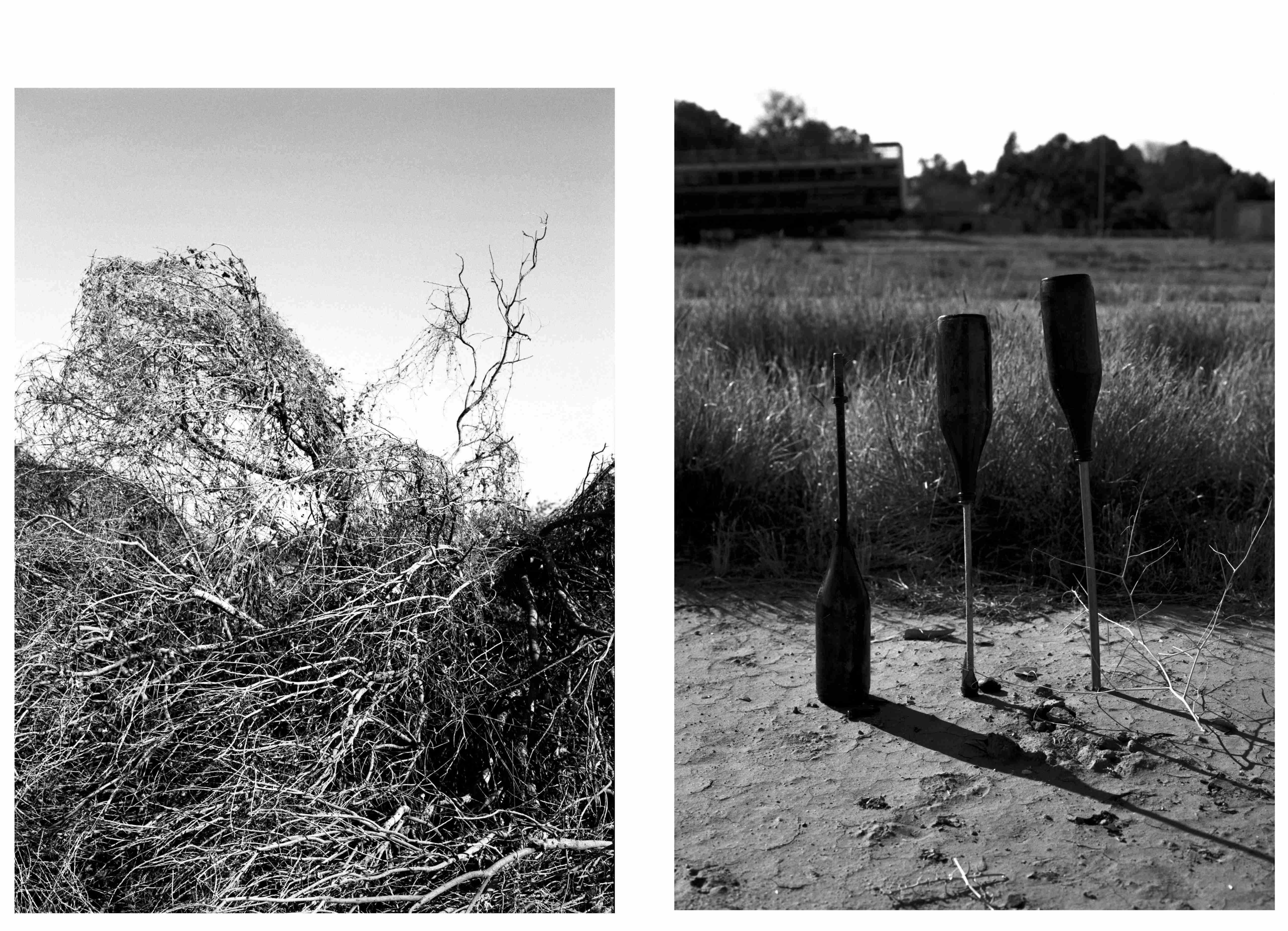Australia Diptychon 1