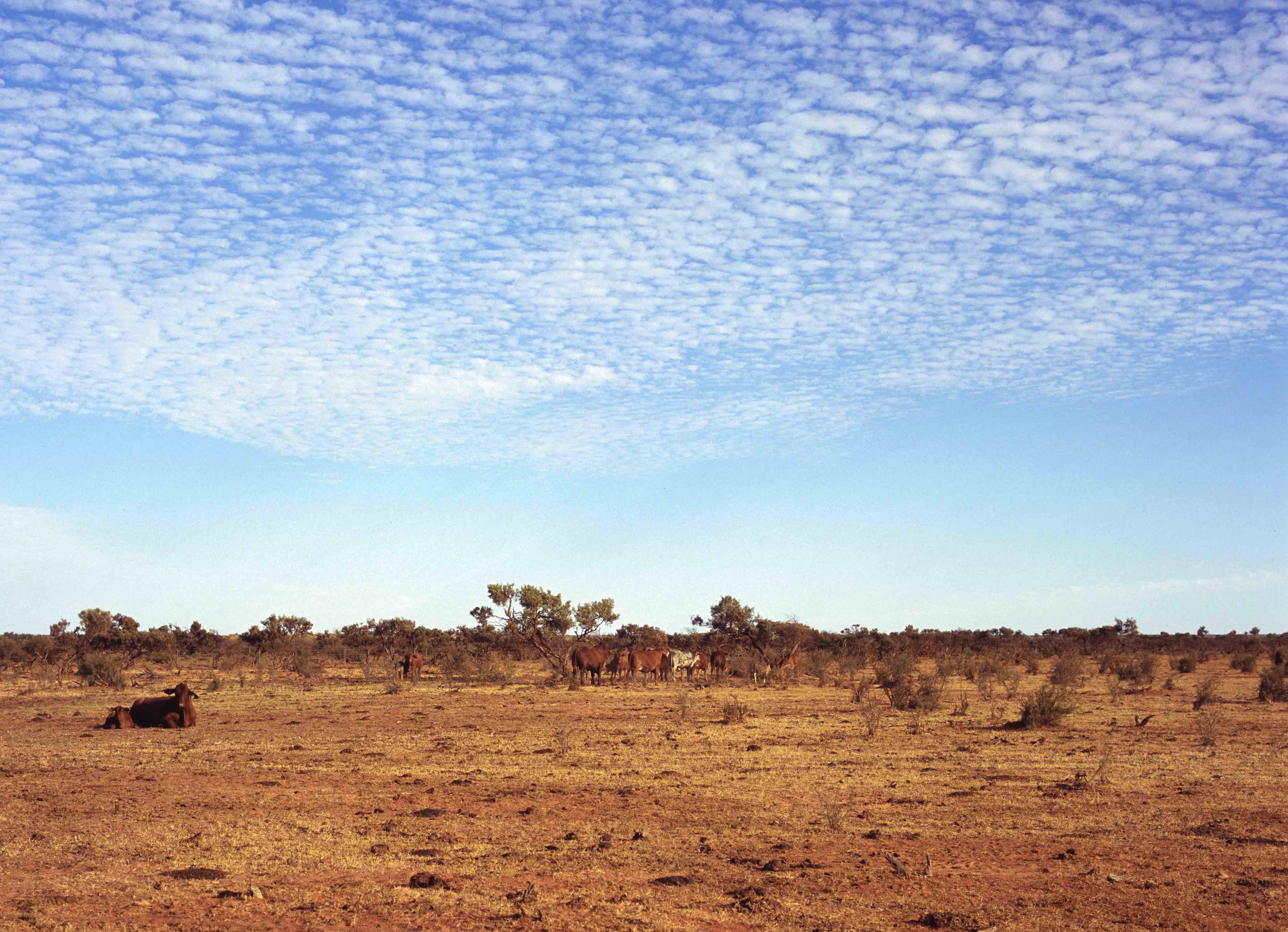 Australia Landscape 10
