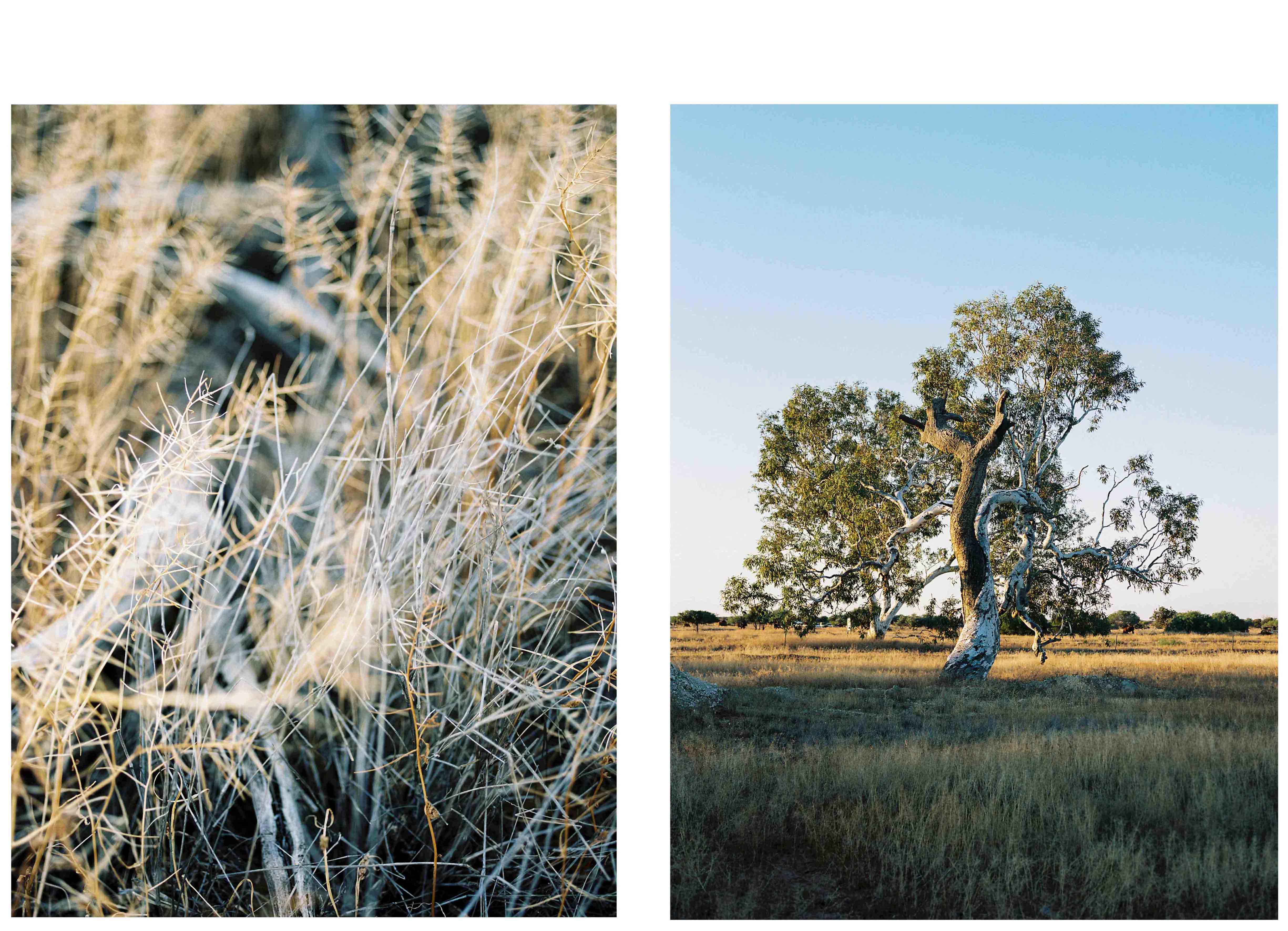 Australia Landscape 3