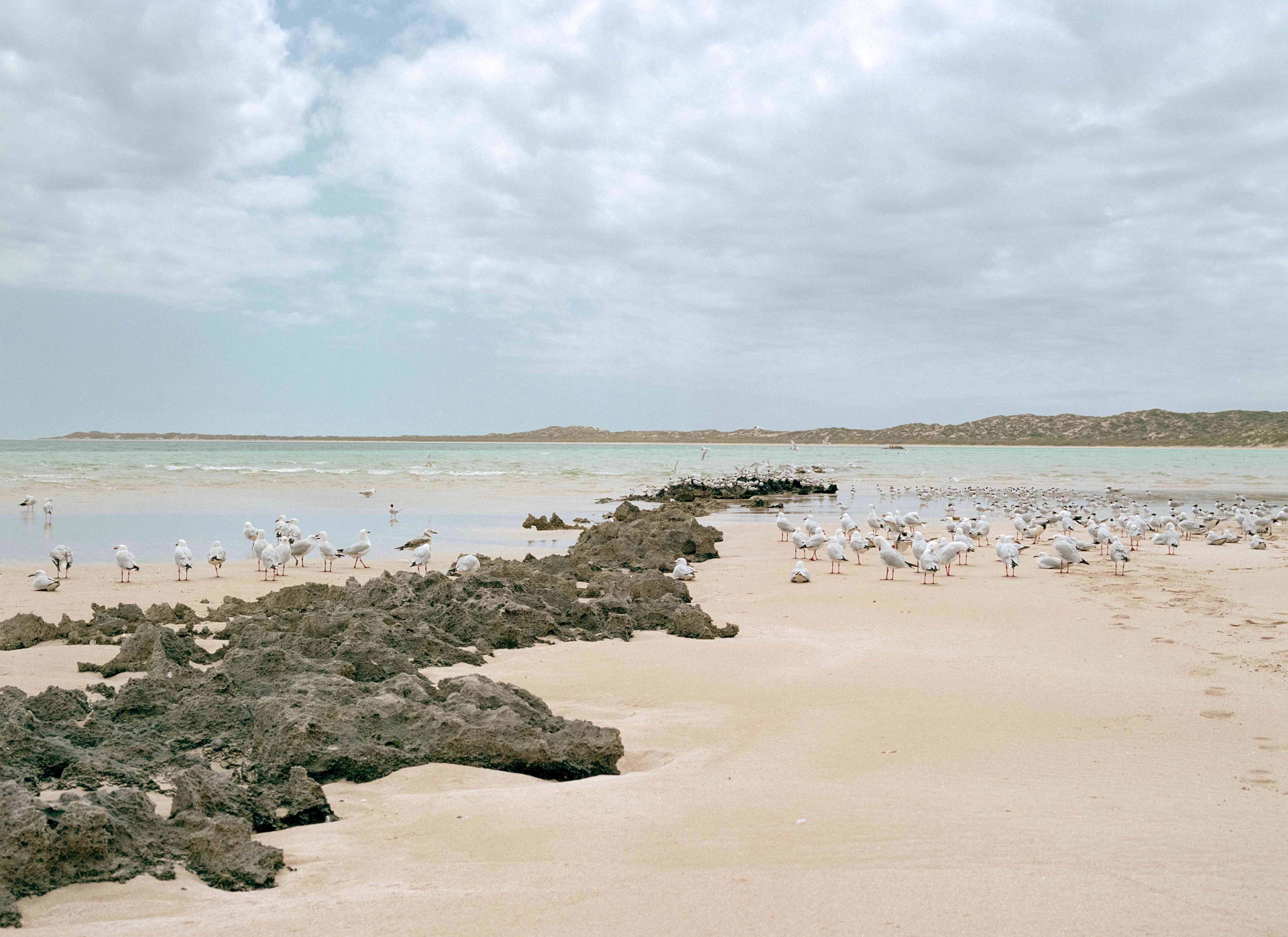Australia Landscape 8