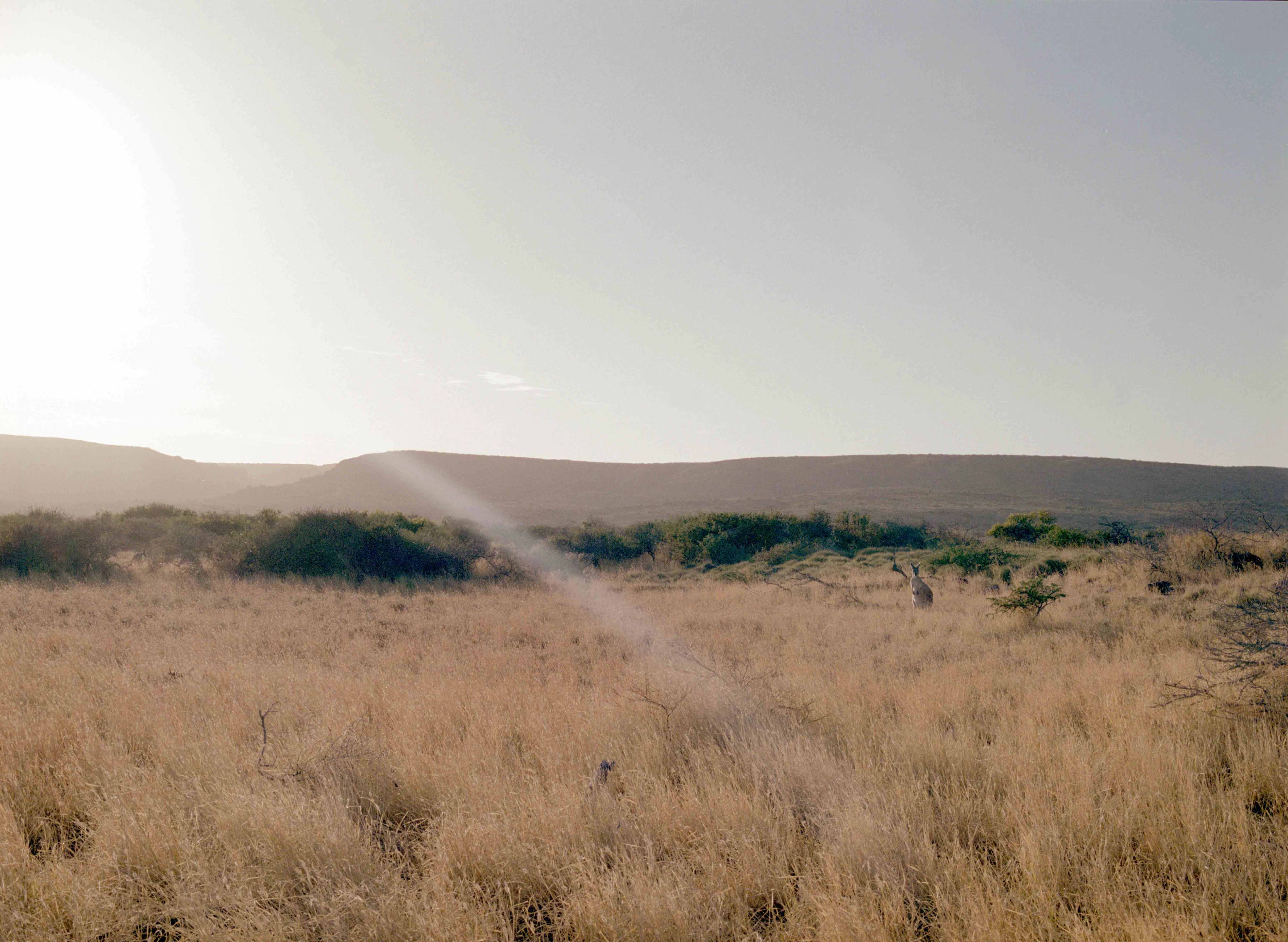 Australia Landscape