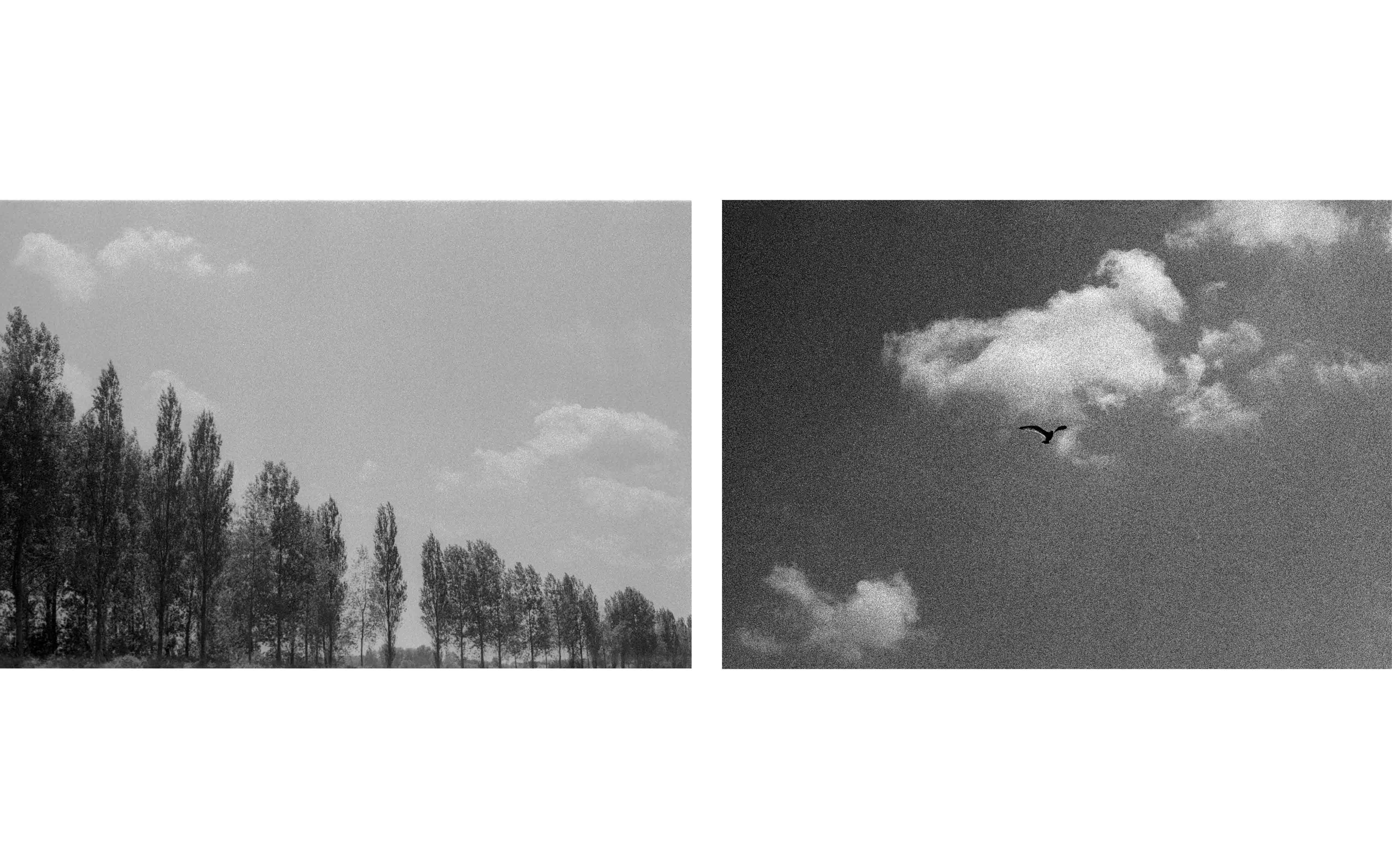 Up There It's Lonely, 2015
