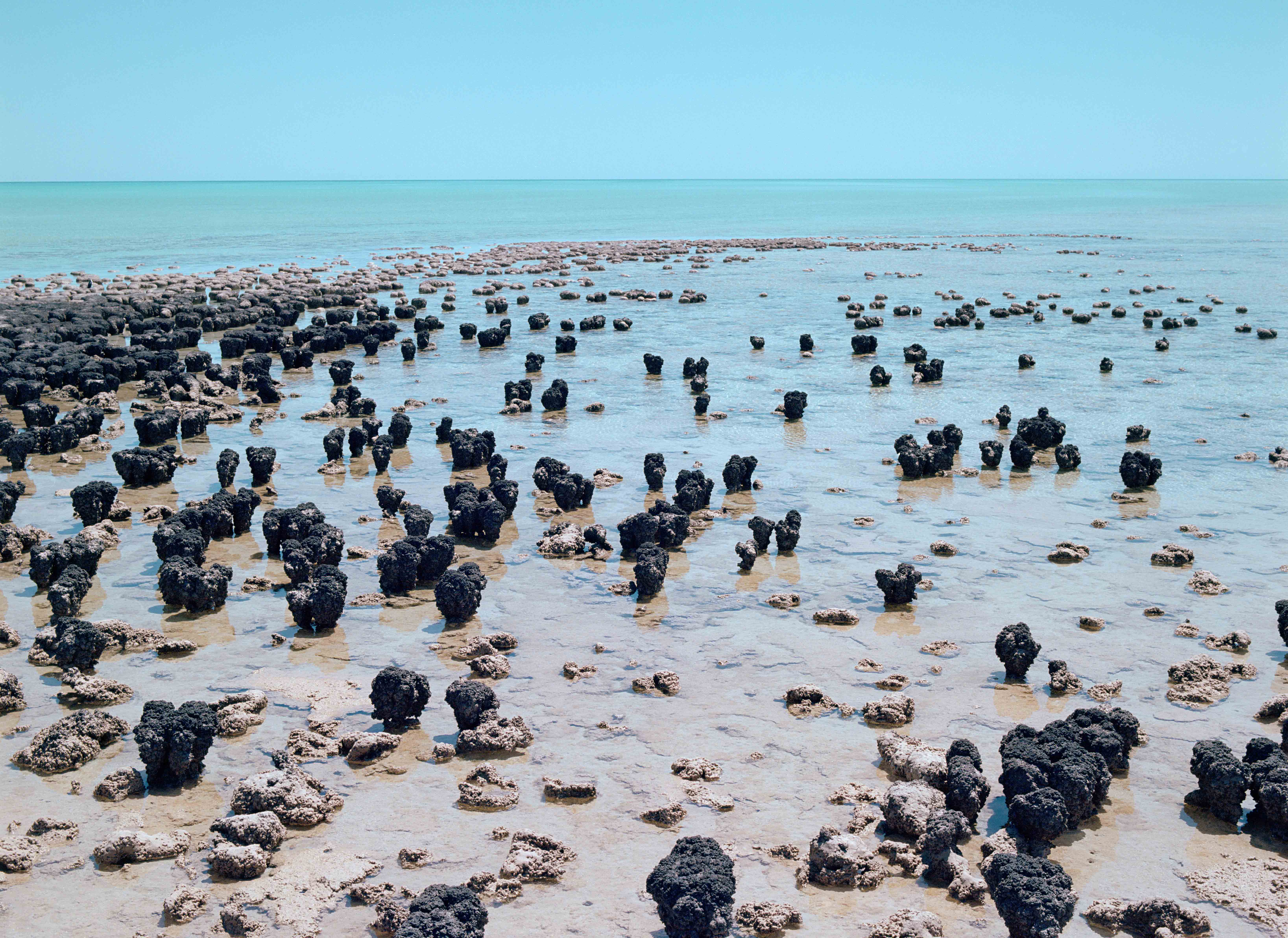 Australia Landscape 16