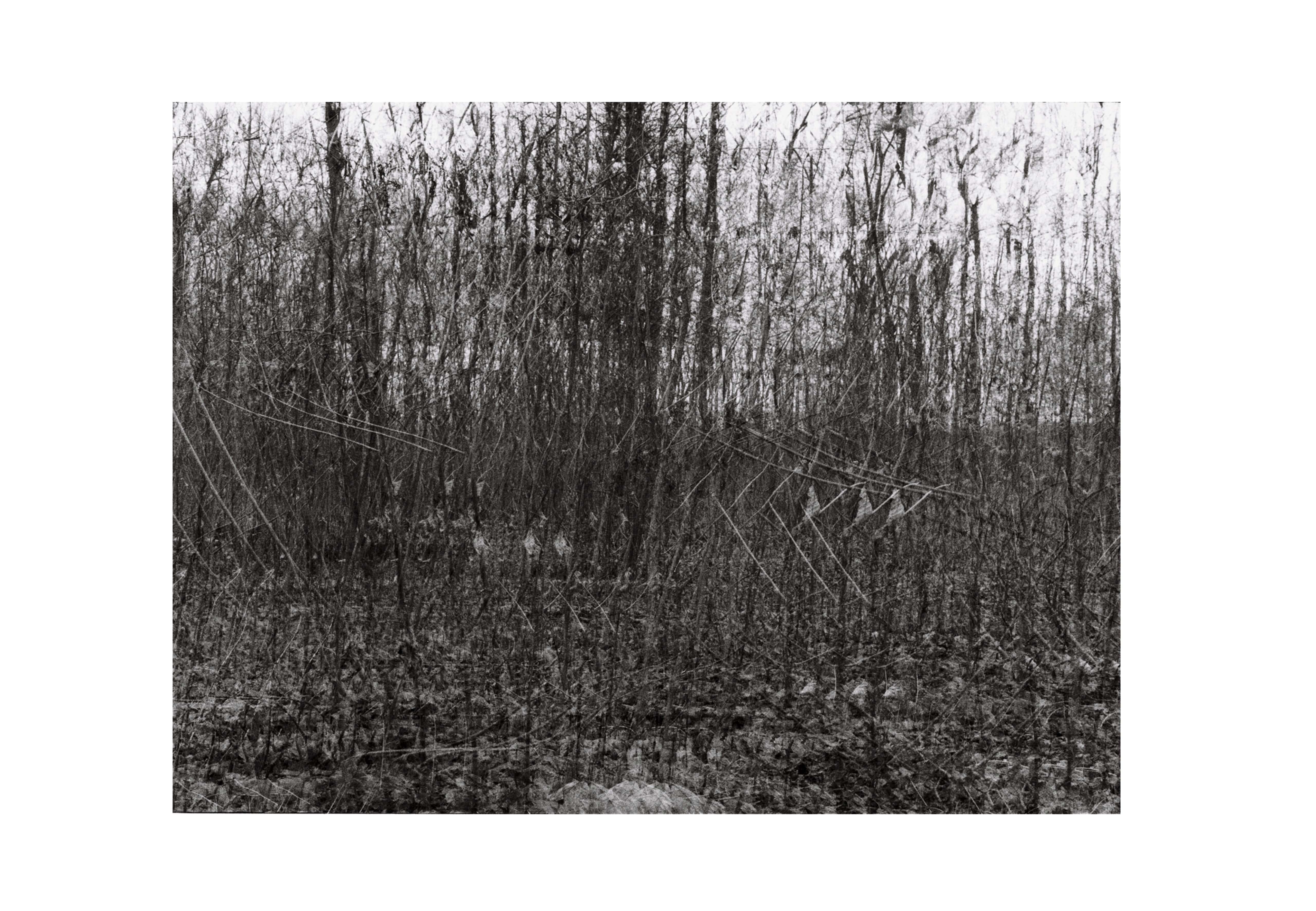 Spinning, 2018