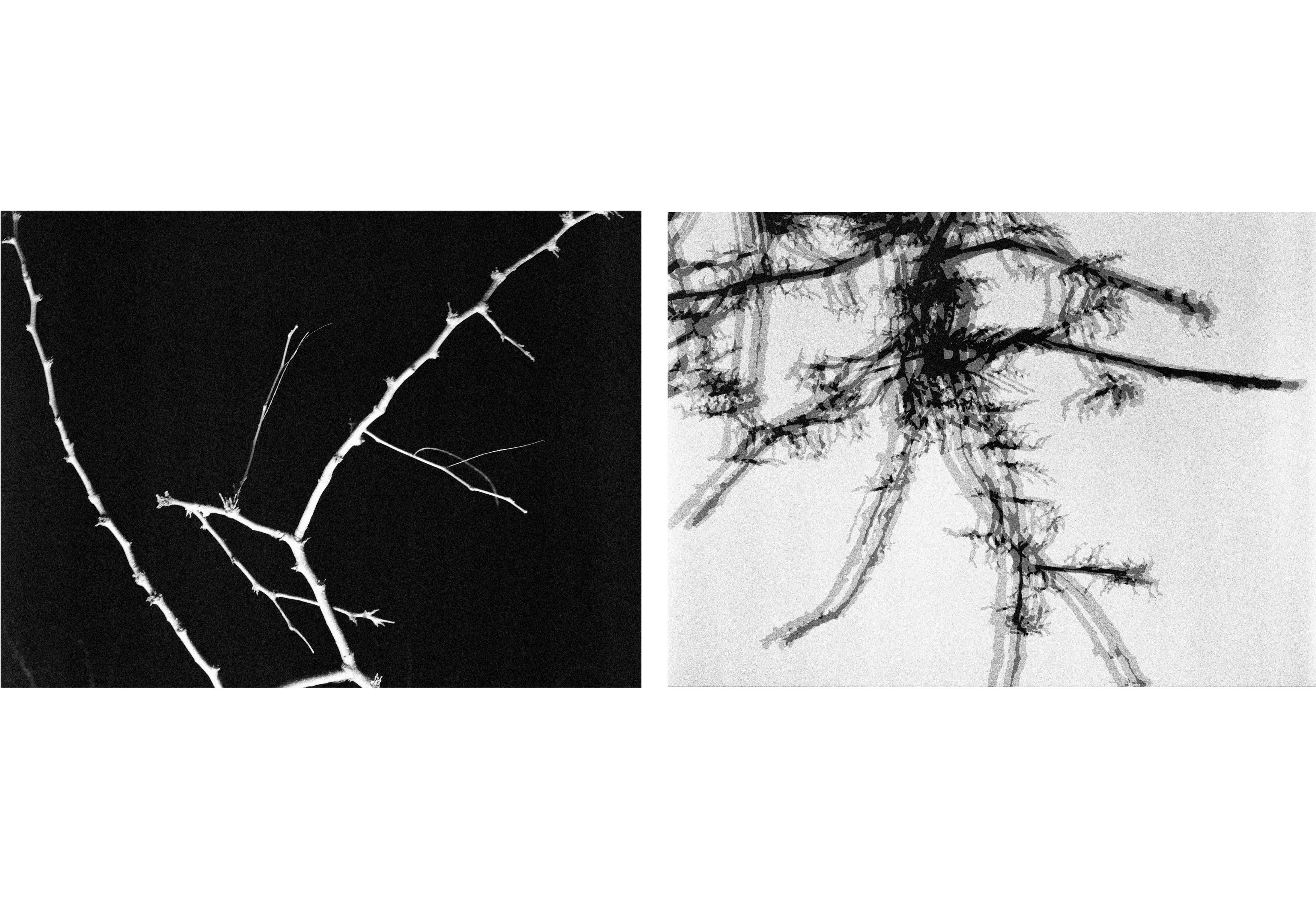 Strikes Like Lightning, 2018