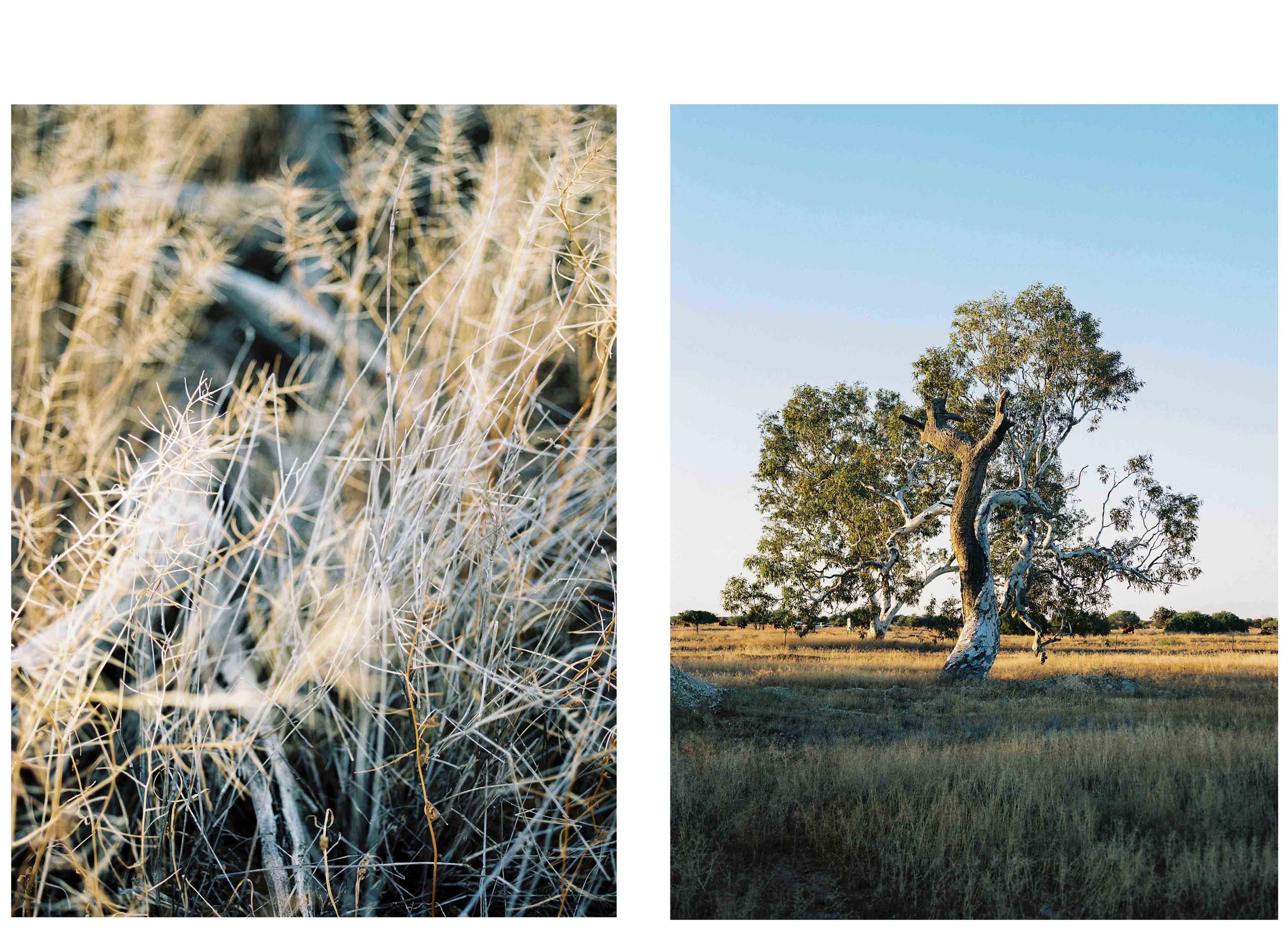 Mera Dorin Photography Fotografie Landscape Landschaft Australien